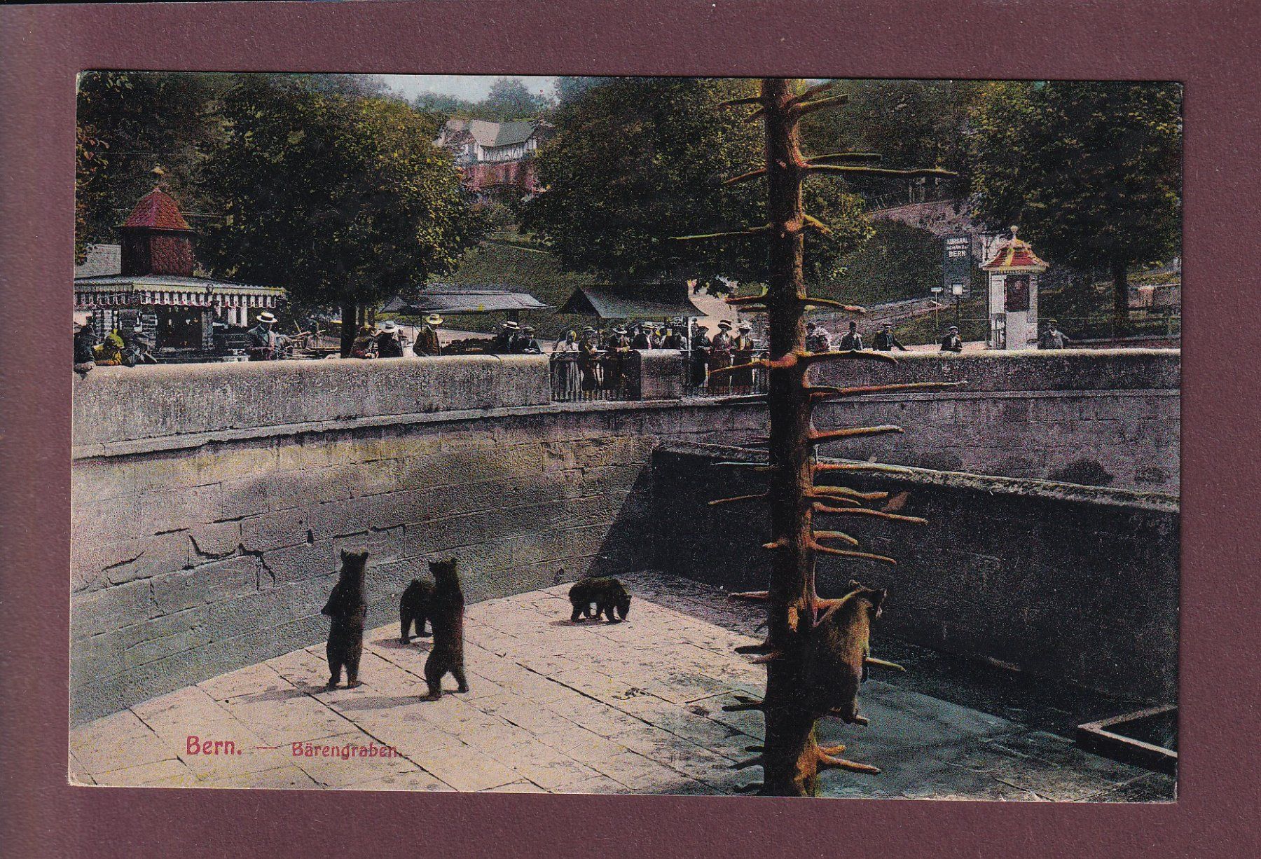 Cartoline postali: BERN - Bärengraben - 1921 – Usato da Pully venduto da nicecards