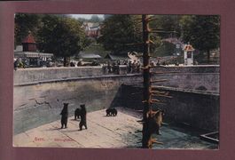 BERN - Bärengraben - 1921
