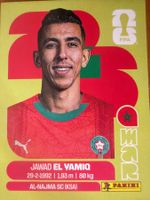 Panini MAR8