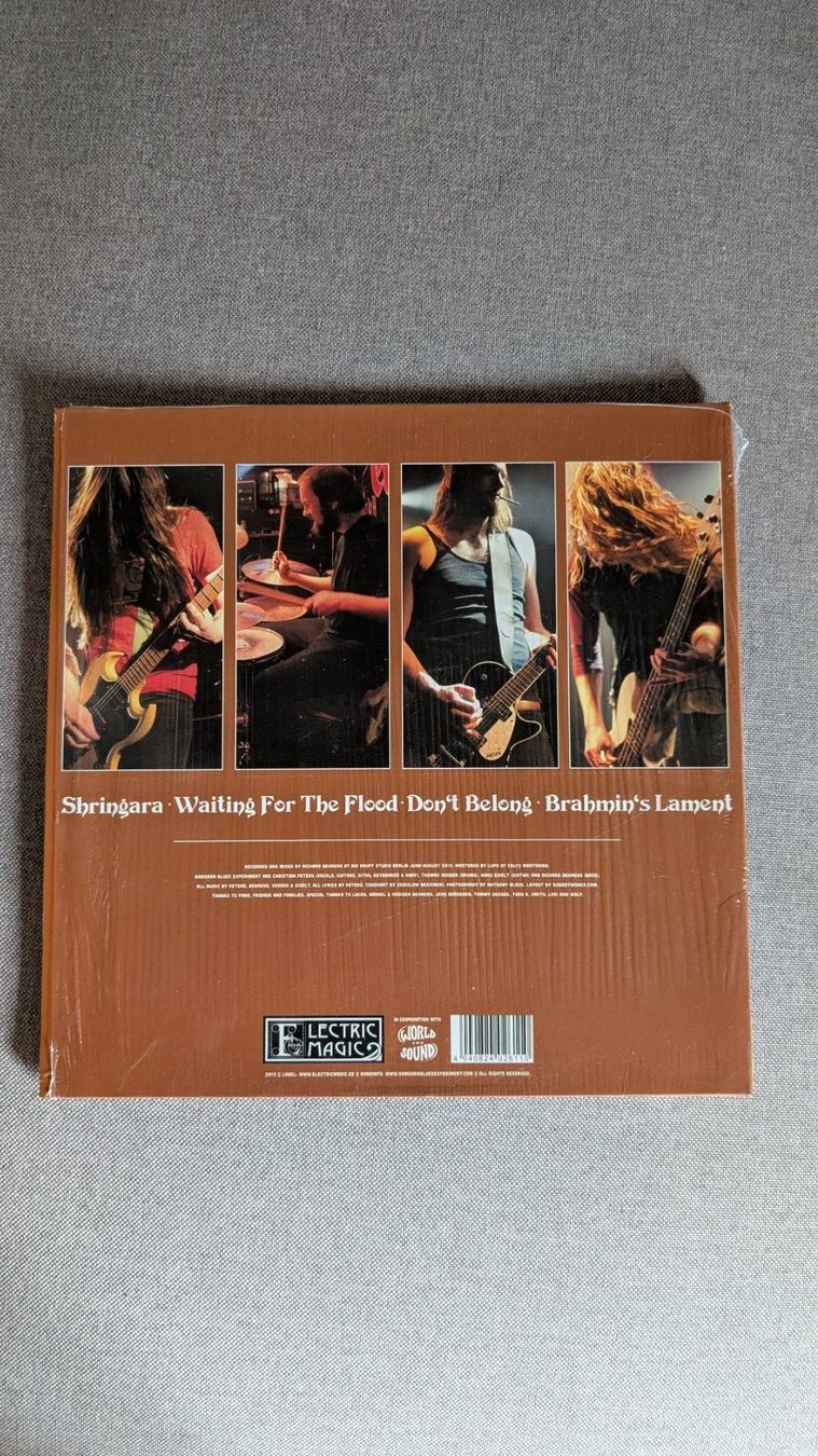 Dischi in vinile: Samsara Blues Experiment - Waiting For The Flood LP – Usato da Steinen venduto da beatstick 1