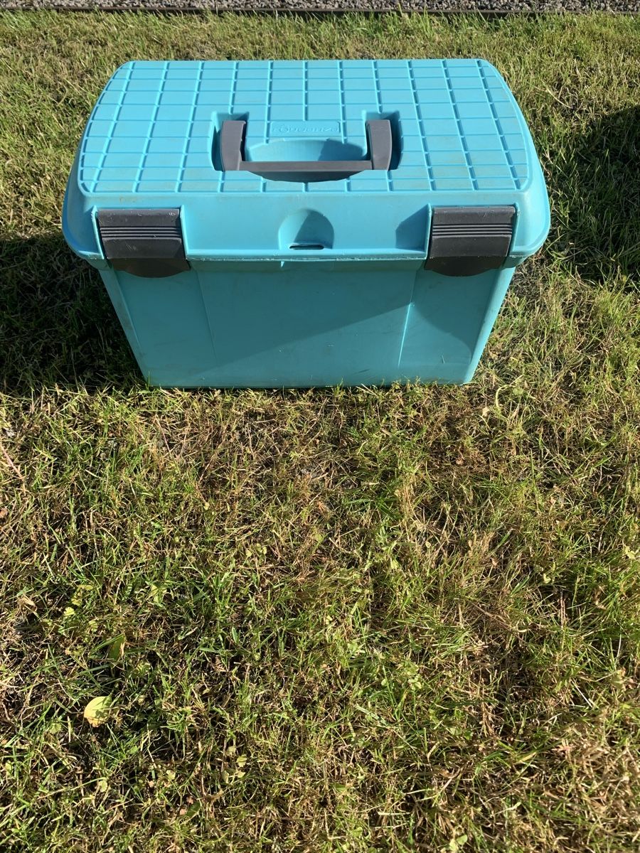 Altro per la casa: Putzbox mit Striegel – Usato da Widnau venduto da S31 6