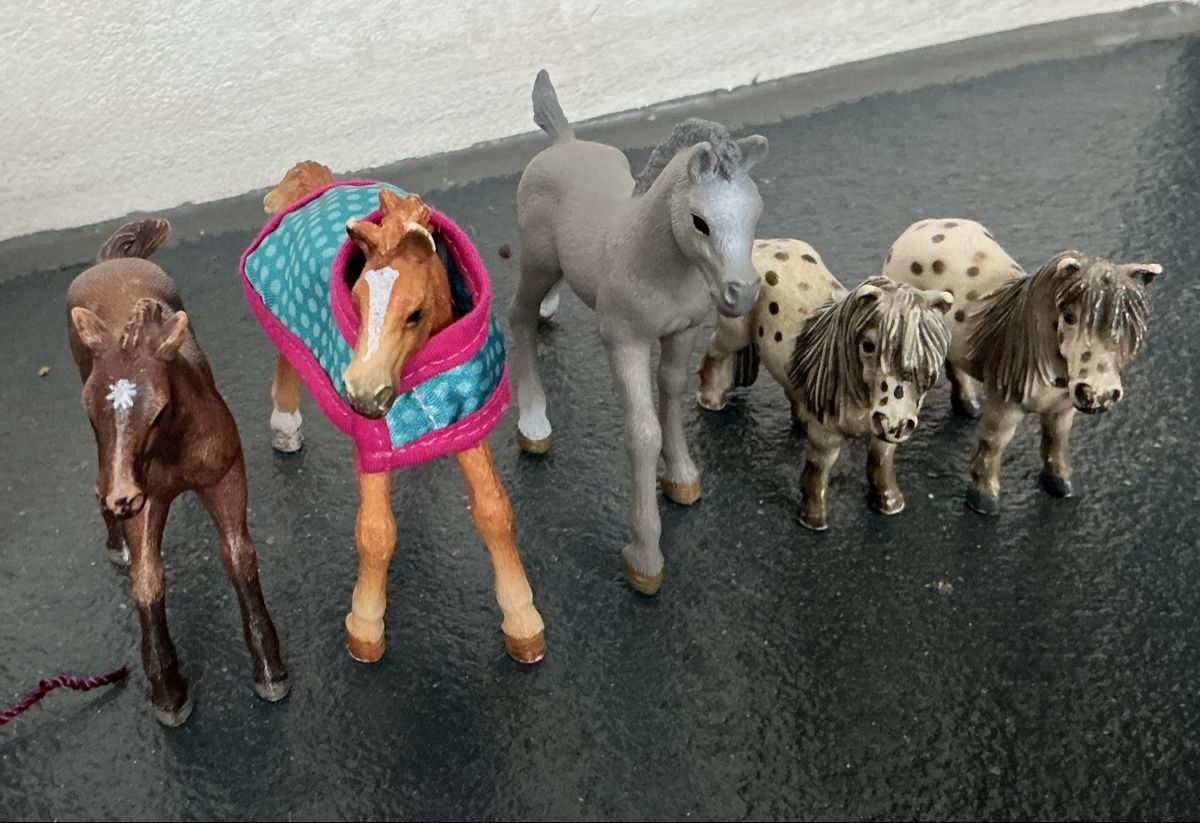 Schleich Giocattoli: Schleich Pferde, Hunde – Nuovo (secondo la descrizione) da Kreuzlingen venduto da Sole2012 5