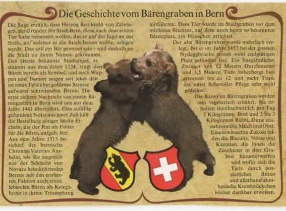 Cartoline postali: Geschichte vom Bärengraben in Bern – Nuovo (secondo la descrizione) da Buchs AG venduto da Baerfisch