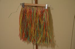 JUPE FASTNACHT  - GIROVITA CM 54