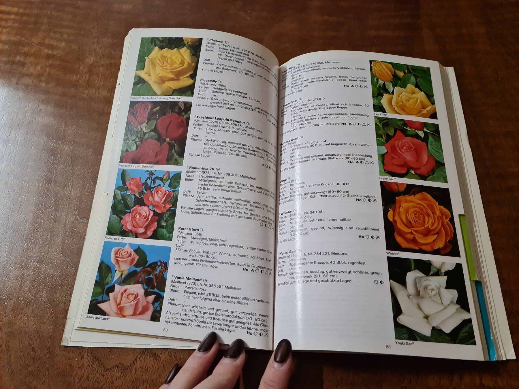 Libri: Das grosse Pflanzen-Buch – Usato da Erstfeld venduto da Uhu1980 2