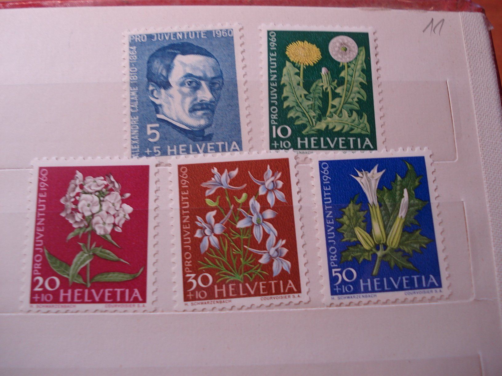 Tutti i francobolli: Satz Pro Juventute 1960, **, Blumen – Usato da Niederwil AG venduto da morostahu