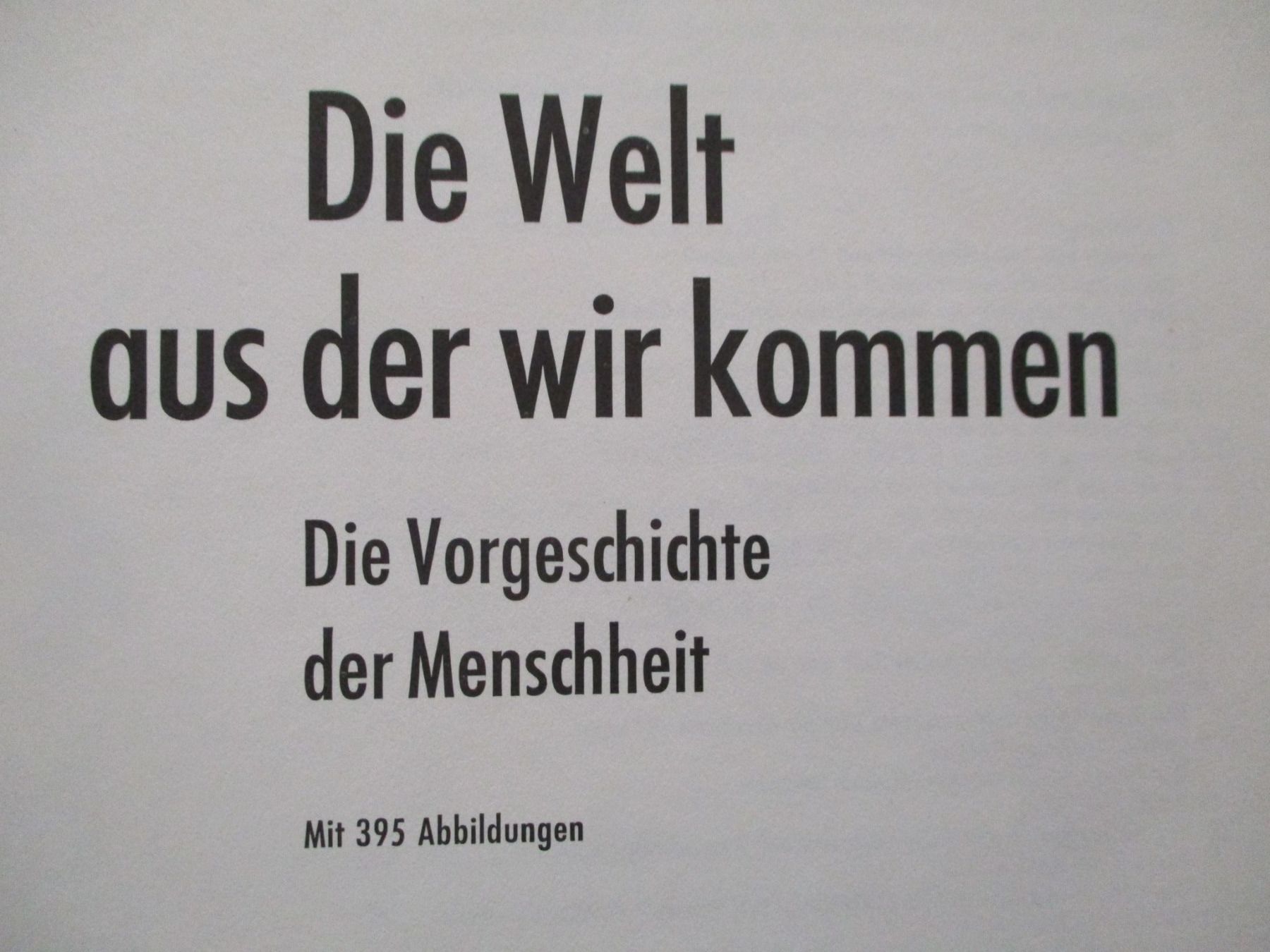 Libri: Die Welt aus der wir kommen – Nuovo (secondo la descrizione) da Büsingen venduto da aue_2mh6 1