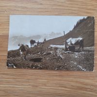 Postkarte Les Avants 1921 Angleterre