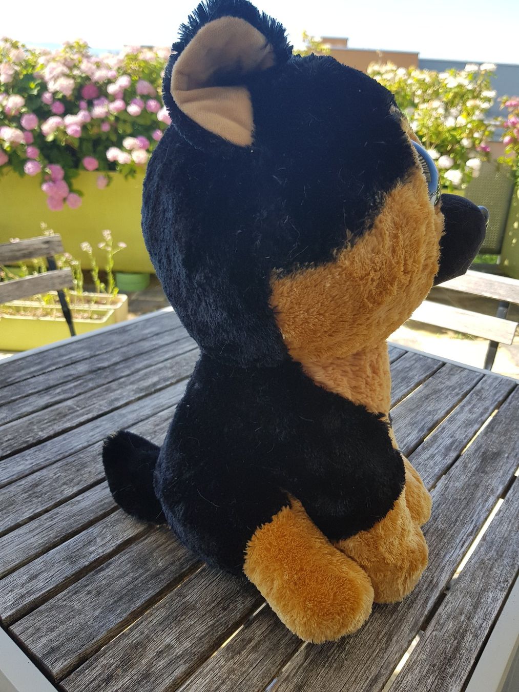 Spielzeuge: Plüsch-Hund hellbraun/schwarz sitzend – Gebraucht aus Jona von dampfnuggi 1