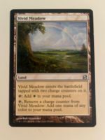 1 x Vivid Meadow - Magic: The Gathering - MtG