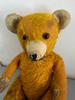 Antiker Steiff Teddy ???