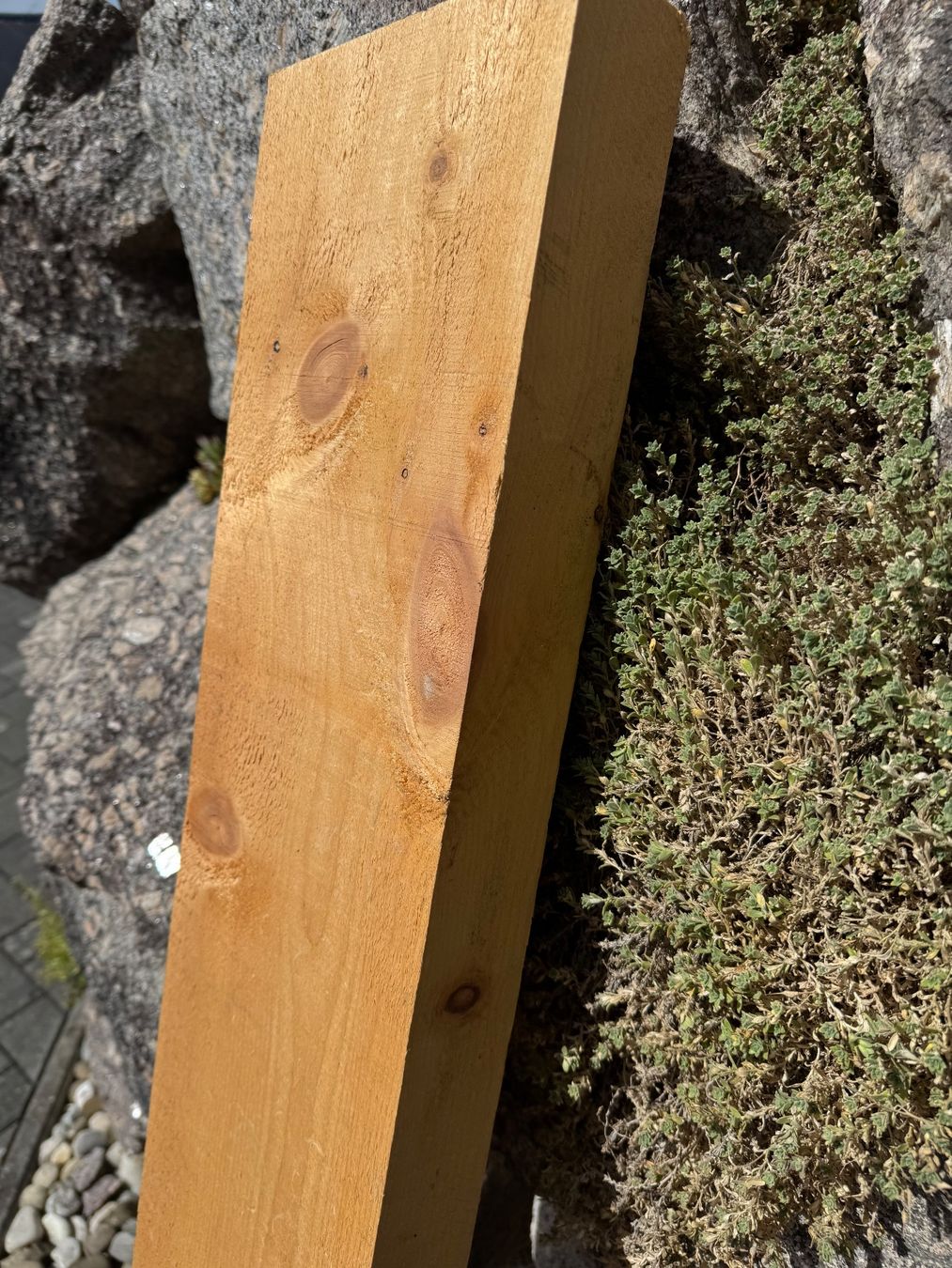 Articoli in legno: Massivholz Balken – Nuovo (secondo la descrizione) da Kestenholz venduto da cvx_889vv 1