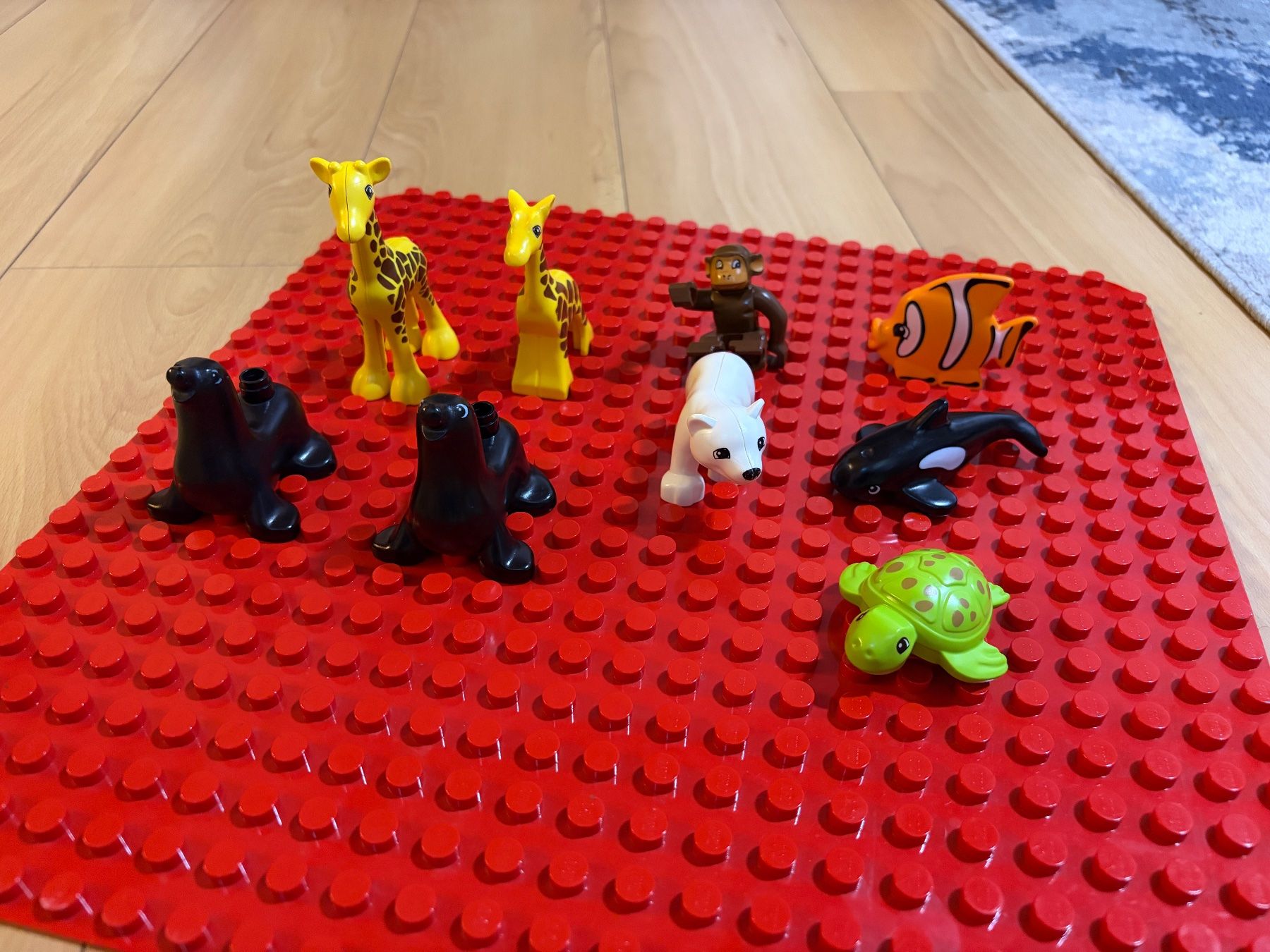 Lego Giocattoli: Logo Duplo Tiere – Usato da Wetzikon ZH venduto da wilmaa.1