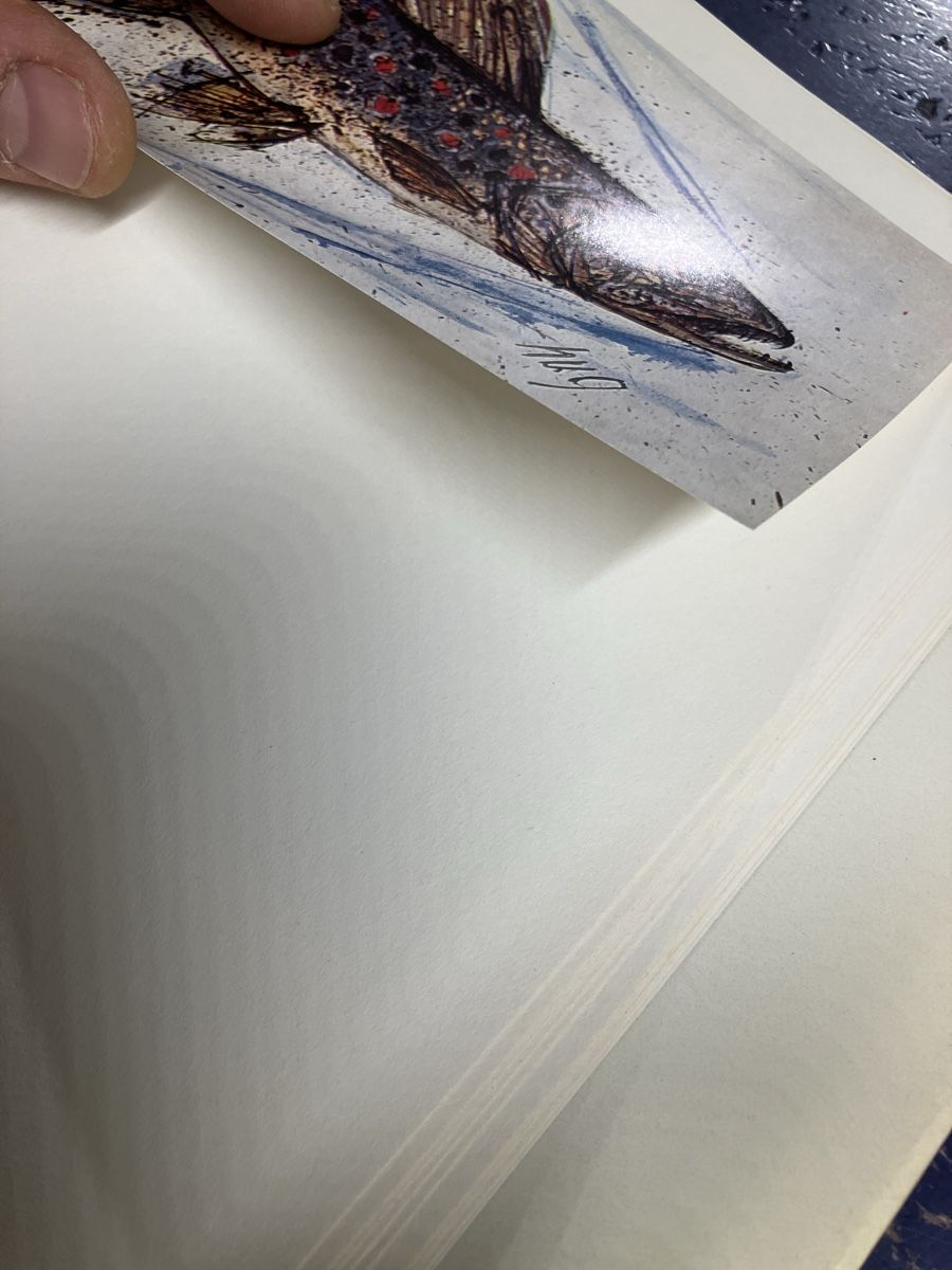Libri: Fritz Hug Maler der Tiere Buch – Usato da Erlenbach im Simmental! venduto da Simmentaler-Perlen 8