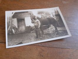 MILITAER - SOLDAT mit ROSS - KAVALLERIE
