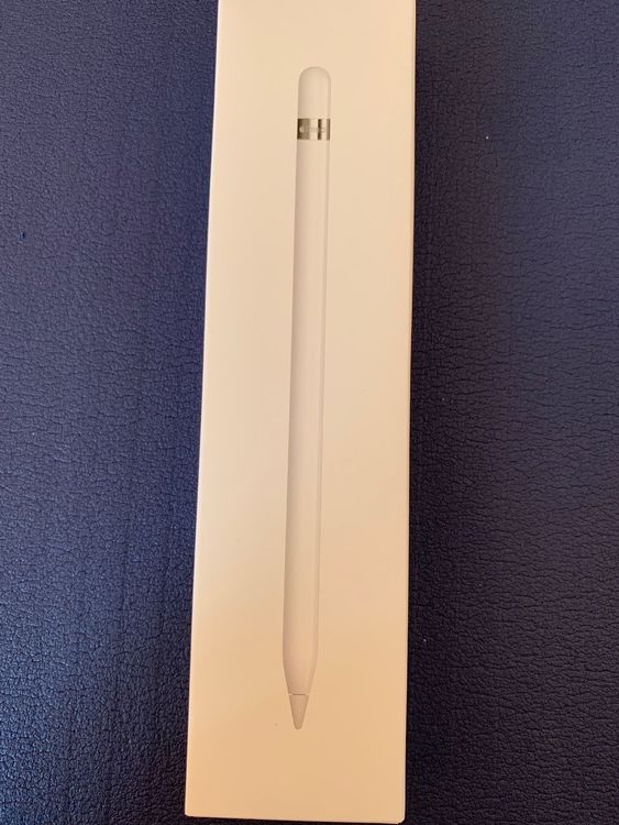 Apple Pencil 1. Generation inkl. Hülle aus Leder Kaufen auf Ricardo