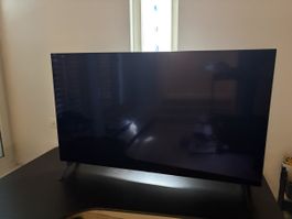 LG OLED 55" 4K Smart TV/Fernseher OLED55A19LA
