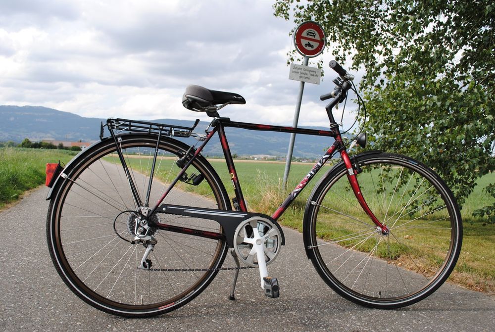 Alpina Bike Bonneville Herren-Stadtfahrrad, Kamelgrau, 55 Cm – 6-Gang, Komfort-Geometrie