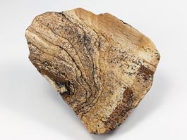 Landschaftsjaspis Platte 7,5cm, 94 Gramm