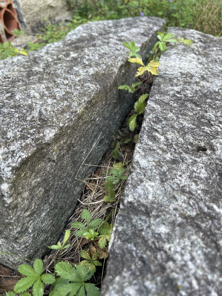 Steine & Dachziegeln: Zwei schöne alte Treppenblöcke Vallemaggia Granit – Gebraucht aus Avegno von CaVal13