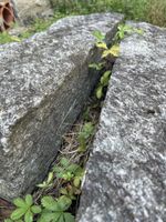 Zwei schöne alte Treppenblöcke Vallemaggia Granit