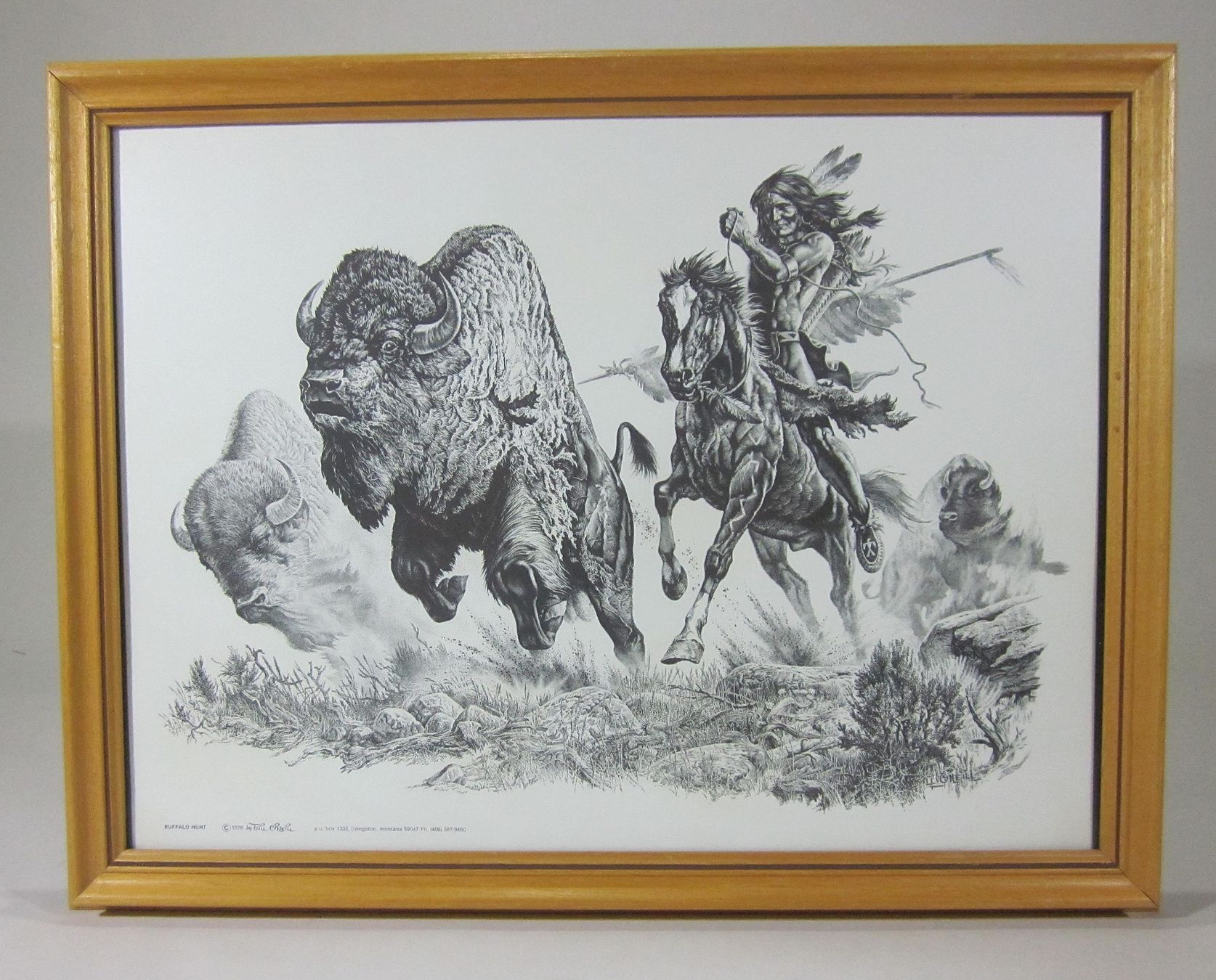 Bücher: Die Bisonjagd Print 1976 – Gebraucht aus Bäretswil von robsonantik