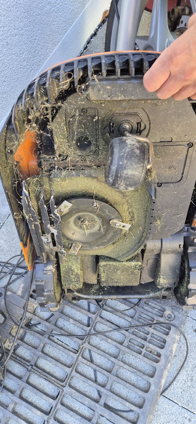 Worx Tondeuses à gazon: Worx WR165 E – D'occasion à Grenchen par Heja1604 3