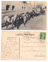 Fribourg, Brasserie du Cardinal, Ecuries et cavalerie