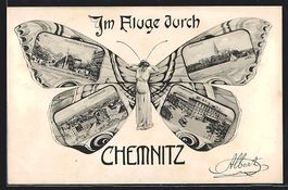 Chemnitz, Ansichten auf Schmetterlingsfl