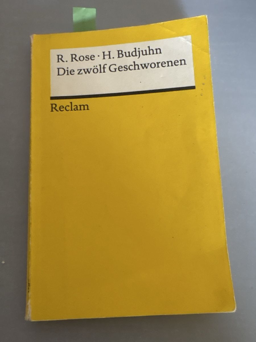 Bücher: Die zwölf Geschworenen – Gebraucht aus Bern von anni2213