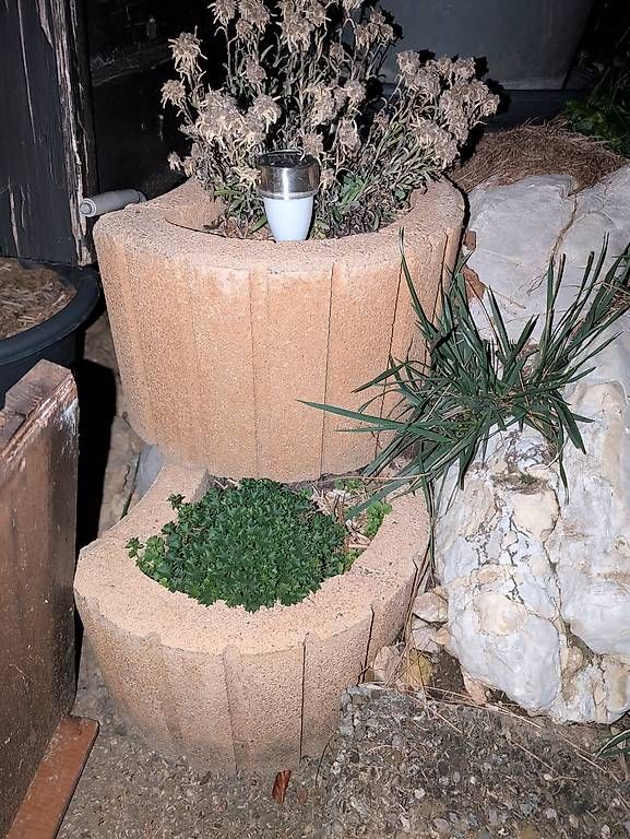 Altro in Utensili da giardino: Botanico neufs à vendre – Nuovo e nell'imballaggio originale da Dombresson venduto da vin_x7sg 1