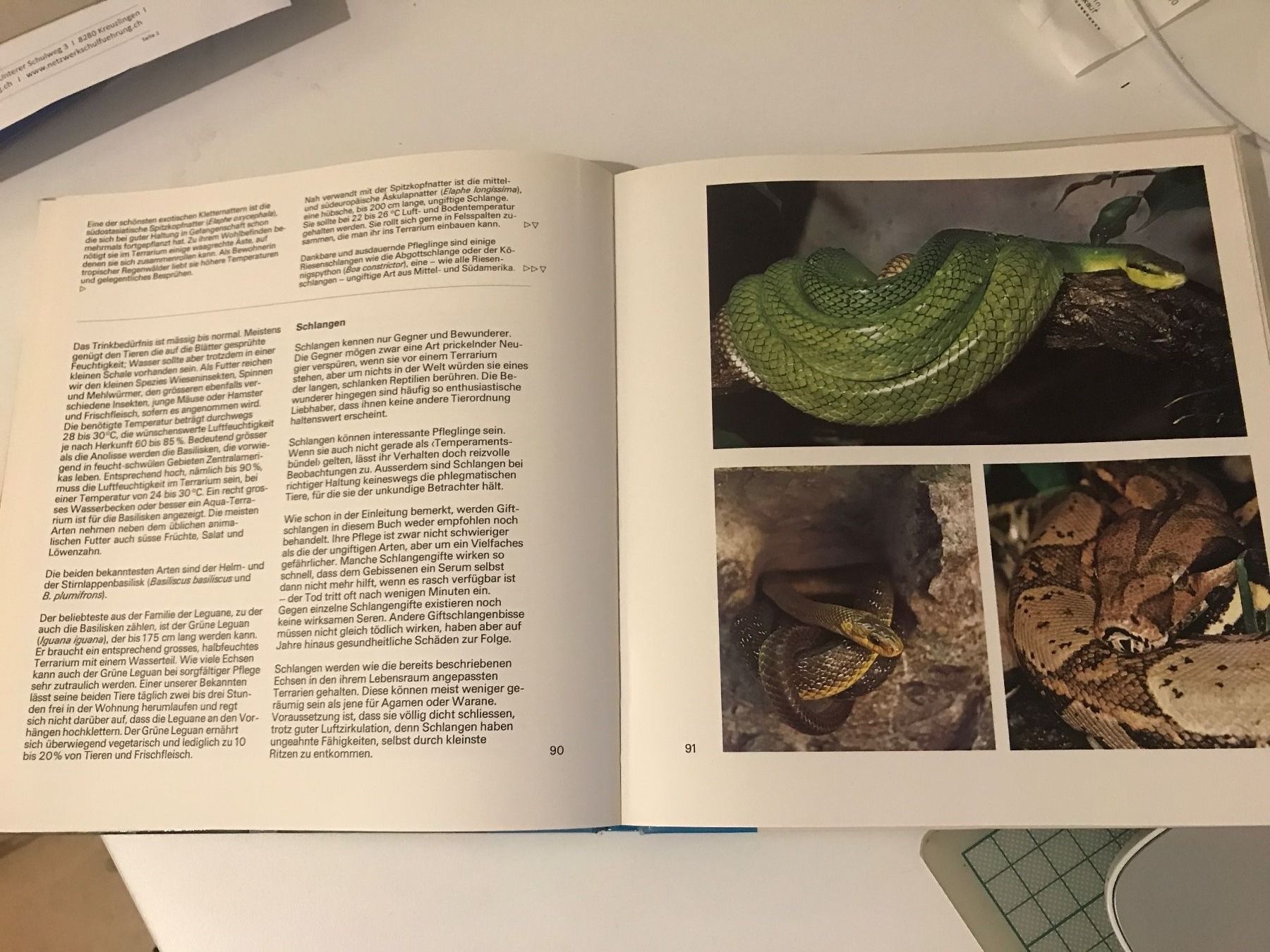Livres: Unsere Heimtiere – D'occasion à Guntershausen par Gloominati 2
