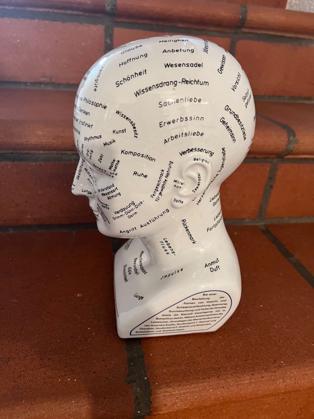 Skulpturen & Statuen: Studienkopf nach Carl Huters Psycho-Physiognomik – Gebraucht aus Zuzgen von Astrid2004 1