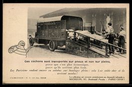 Paris, Ces cochons sont transportés sur
