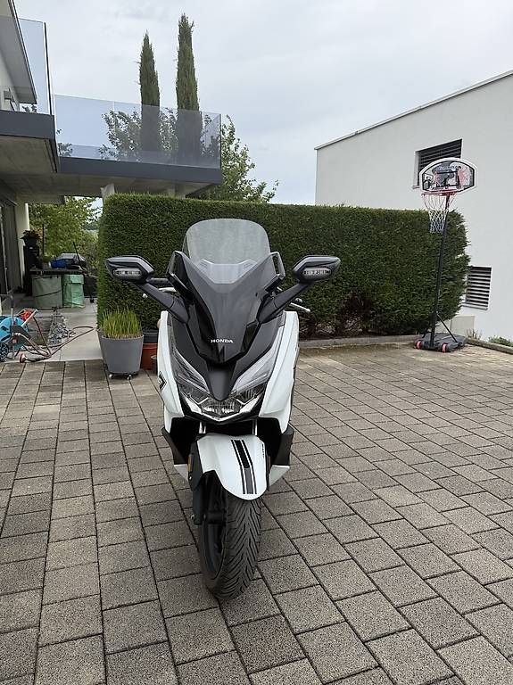 Scooter: Honda Forza 125ccm – Usato da Böckten venduto da jos_sk2m 2