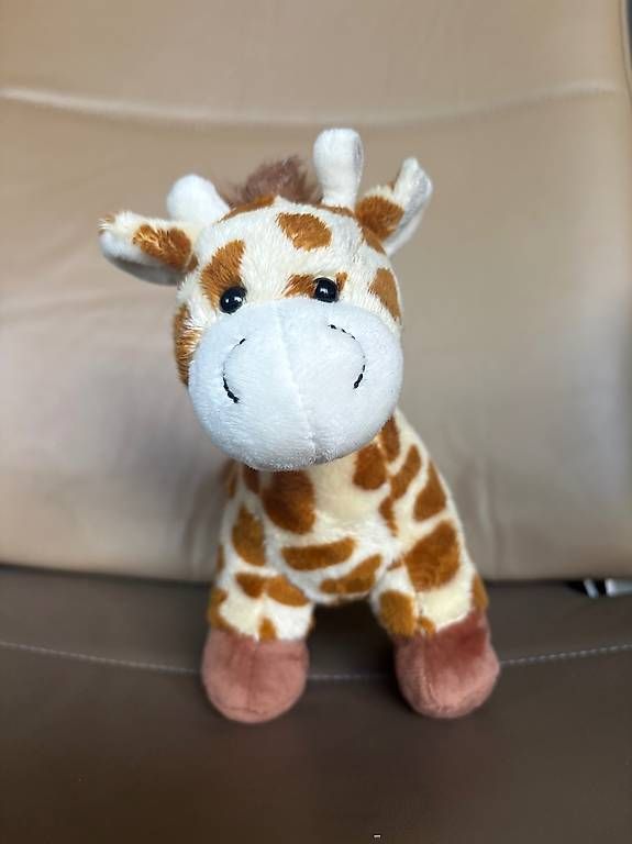 Giocattoli: Stoff Giraffe – Usato da Zürich venduto da blabladiggi