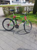 Velo Cilo