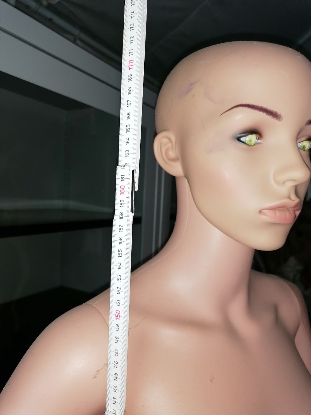Altro in Decorazioni & Accessori: Schaufensterpuppe / Mannequin – Nuovo (secondo la descrizione) da Oetwil am See venduto da Avenger07 5