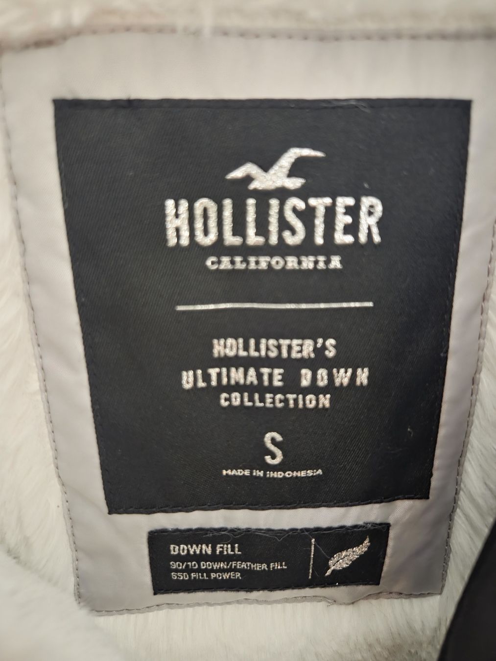 Hollister Giacche: Winterjacke Hollister – Usato da Langnau am Albis venduto da ann_h5sz 2