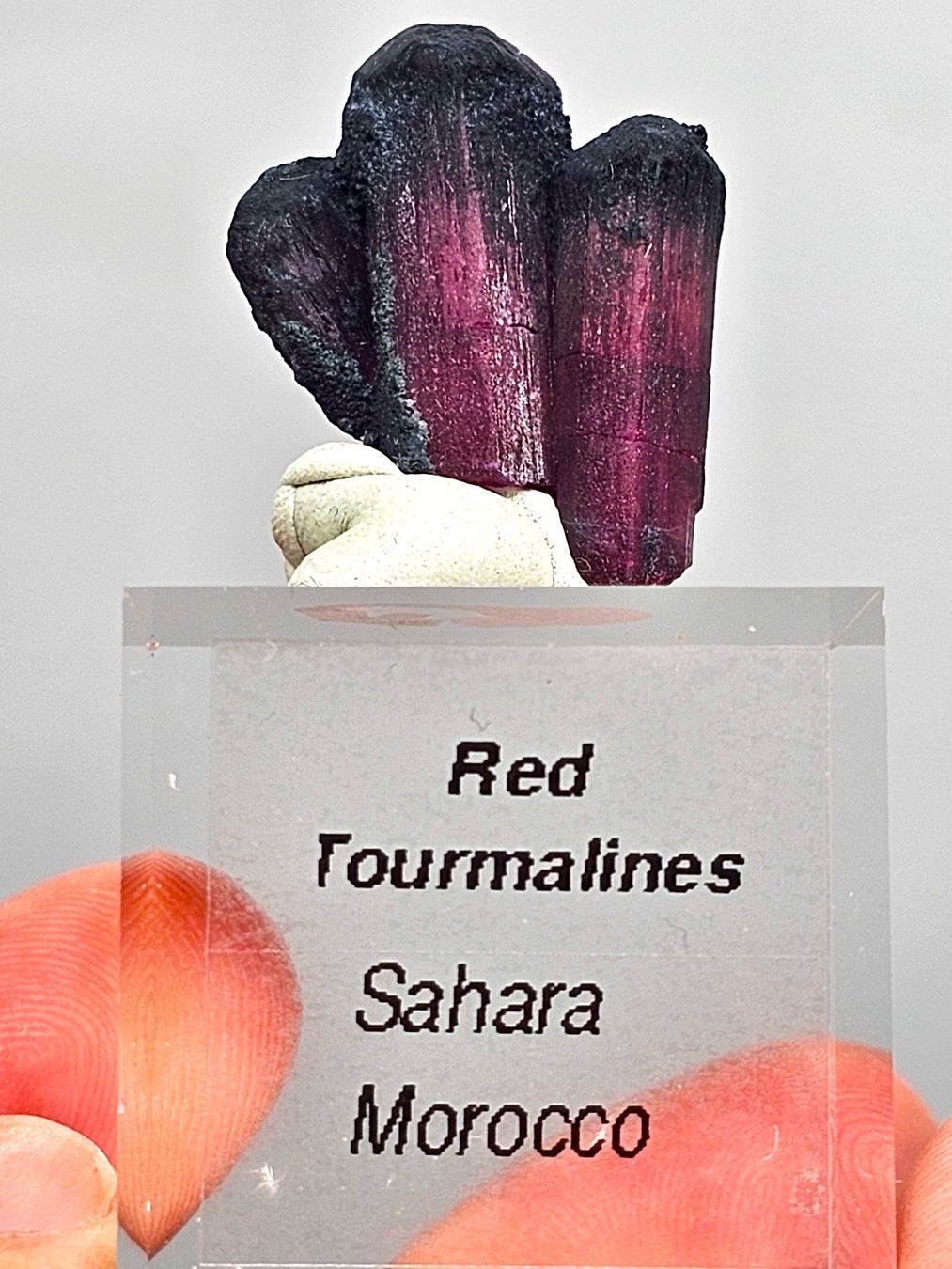 Mineralien & Heilsteine: Ruby red Tourmalines , Sahara Morocco – Gebraucht aus Figino von panshop