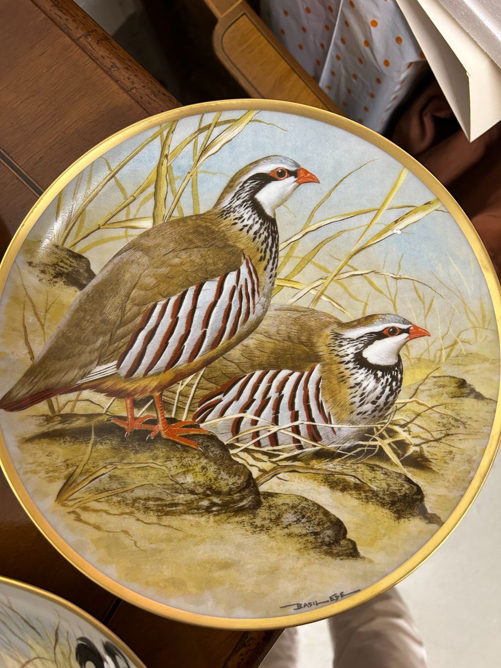 Teller: Les Oiseaux Sauvages Du Monde – Neu (gemäss Beschreibung) aus Gümligen von chrigirici 3