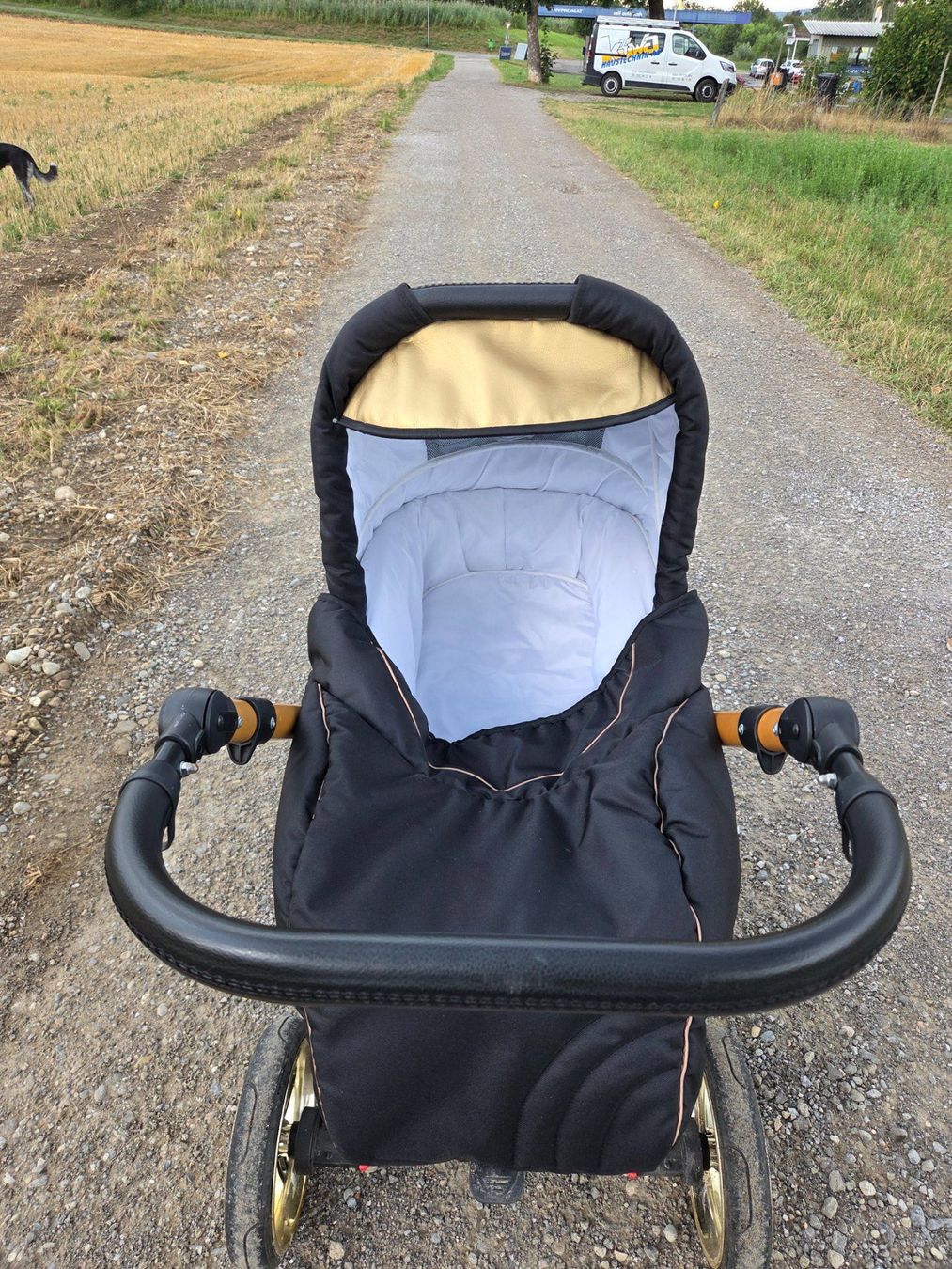 Kinderwagen: Kinderwagen – Gebraucht aus Kaltenbach von fre_8txb 1
