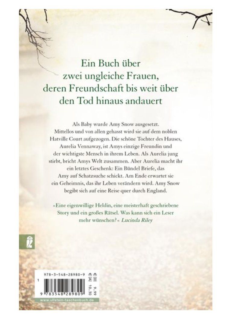 Bücher: Die Reise der Amy Snow - Tracy Rees – Gebraucht aus Frauenfeld von AlphaCentauri_369_ 1