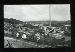 Holderbank, Wildegg
