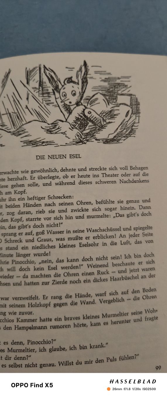 Libri: Pinocchio – Usato da Volken venduto da katz5 3