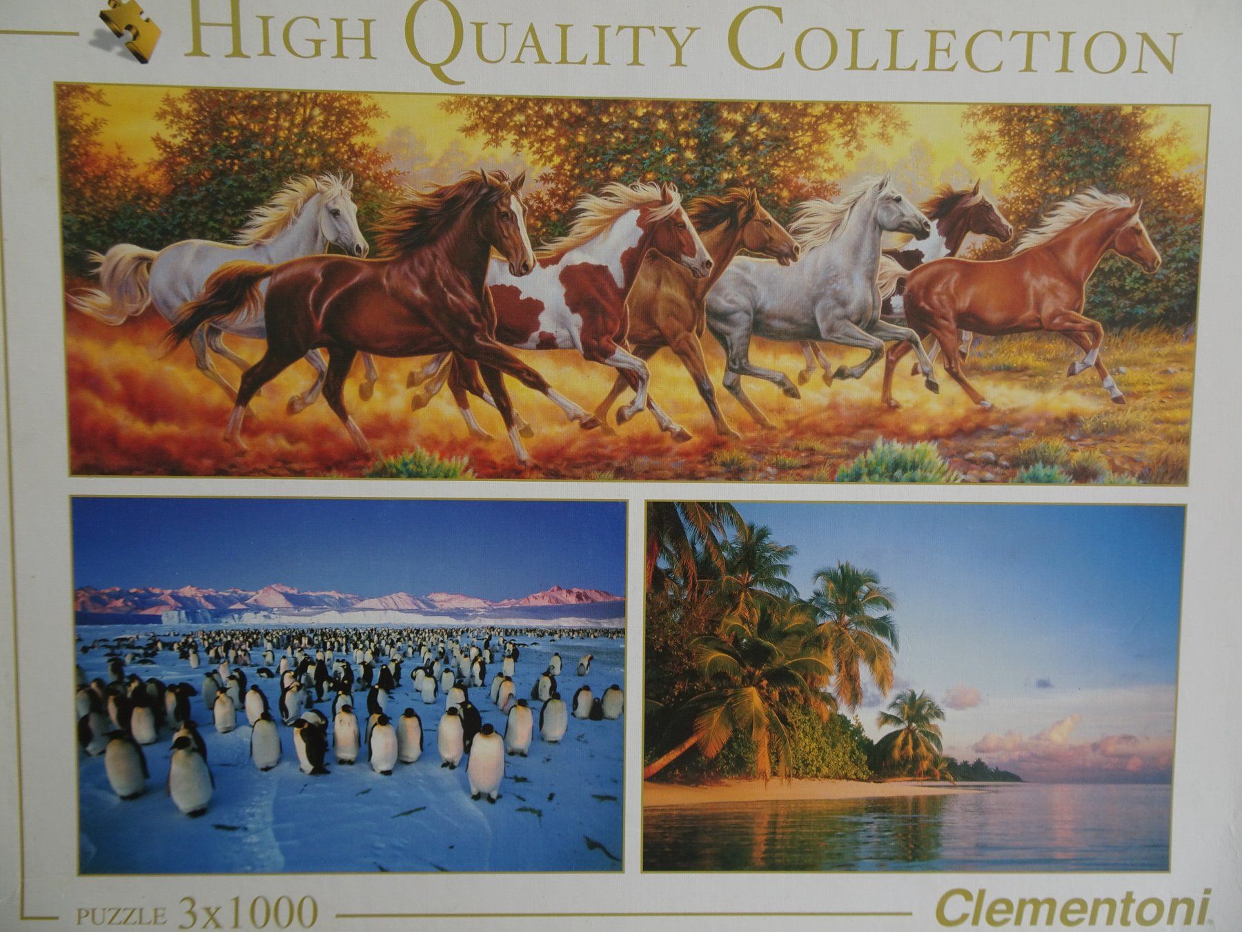 Clementoni Puzzle: Clementoni Puzzle Box 3x1000er – Usato da Auw venduto da Theohu 3