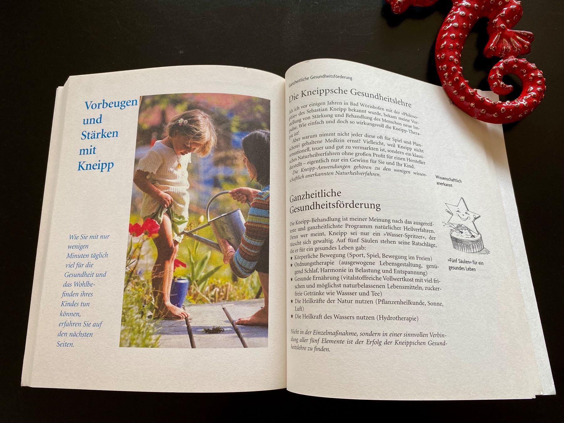 Libri: Wickel & Co für Kinder – Usato da Nussbaumen AG venduto da schuba2000 6