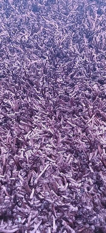 Teppiche: Tapis Shaggy marron – Gebraucht aus Versoix von fte_d9w5 1