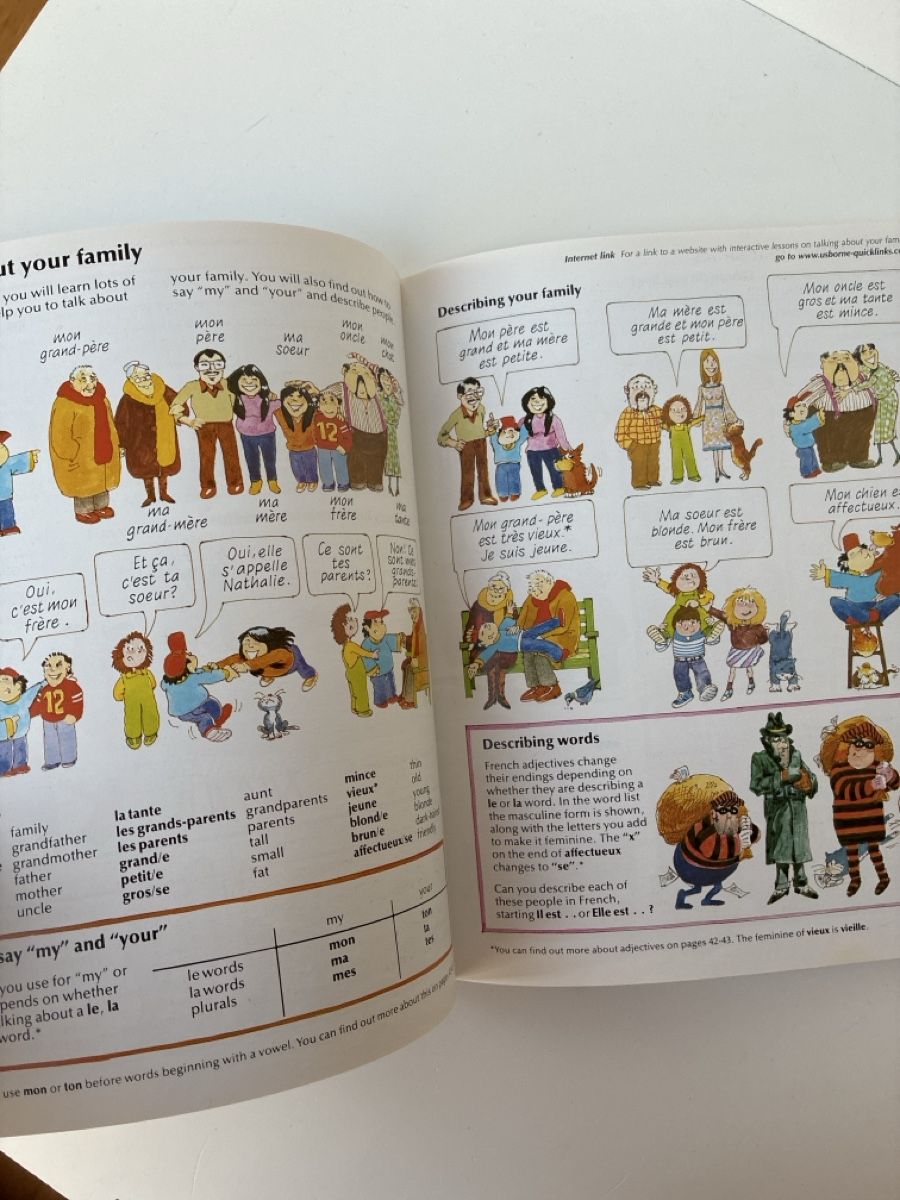Libri: French for Beginners - Usborne – Usato da Lucens venduto da metaD 2