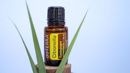 Citronella Öl von dōTERRA - 15 ml